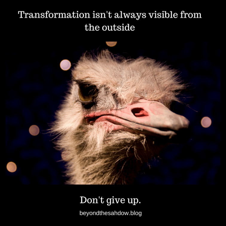 Transformation isn't always visible from the outside