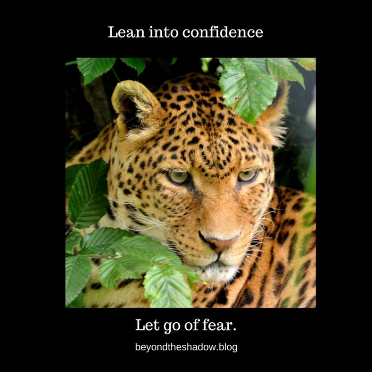 Lean into confidence