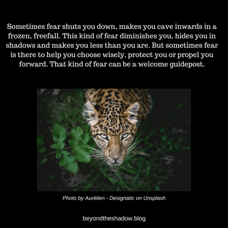 Photo by Aurélien - Designatic on Unsplash