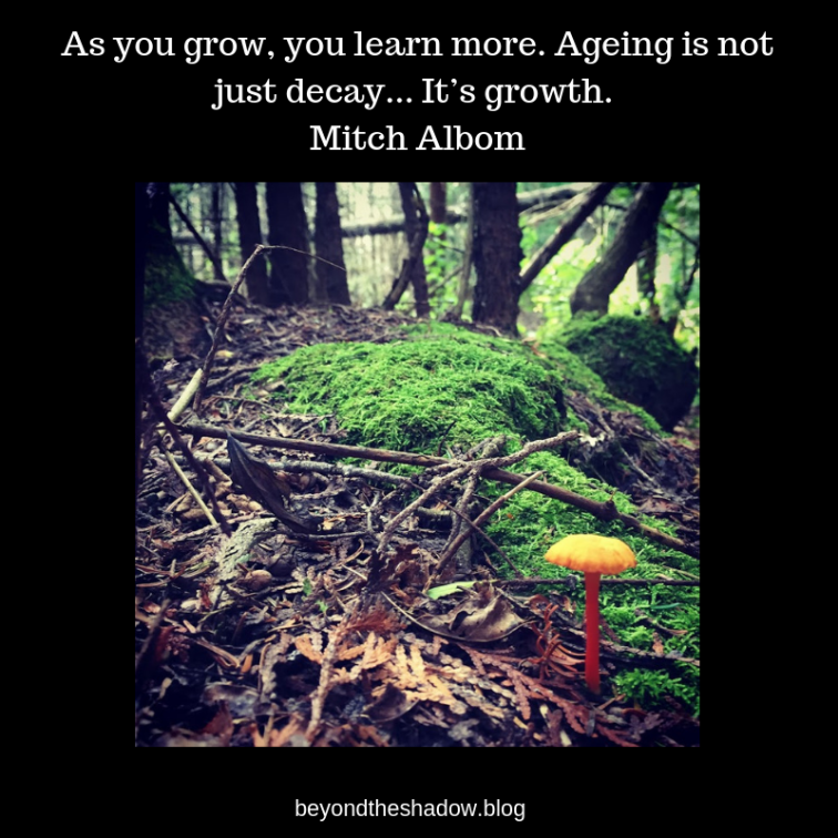 Mitch Albom quote